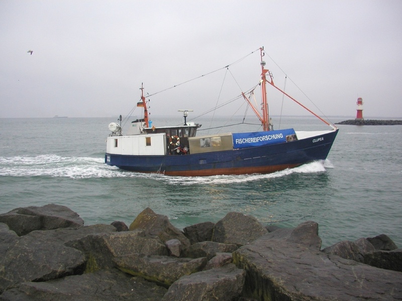 Der Fischereiforschungskutter "Clupea" der BFAFi ist seit mehr als 50 Jahren regelmäßig in der Ostsee aktiv