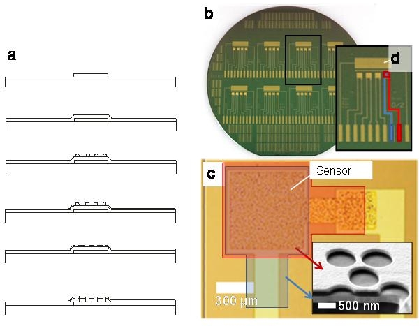 a) Nanopartikellithographie zur Herstellung poröser Sensorelektroden: Nach Abscheidung einer Metallisierungs- und einer Isolatorschicht werden Mikro- oder Nanopartikel aufgebracht, die im zweiten Metallisierungsschritt als Schattenmasken dienen. Danach werden sie entfernt und mittels Plasmaätzen Poren in die Isolationsschicht eingebracht. b) Wafer mit Sensorchips. c) einzelner Sensorspot. d) REM Aufnahme einer Querschnittspräparation des Schichtsystems mit Poren.