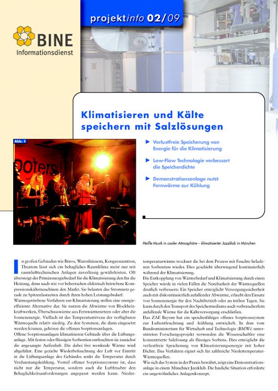 Cover des neuen BINE-Projektinfo "Klimatisieren und Kälte speichern mit Salzlösungen" (2/2009)