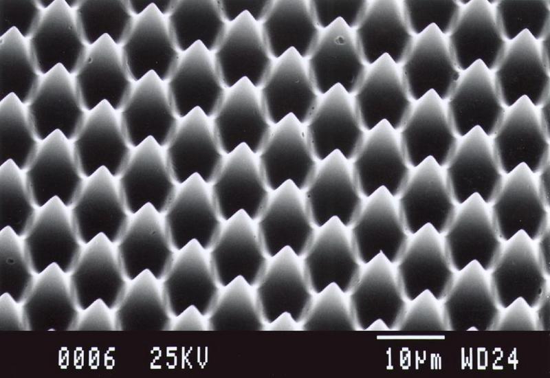 Mikrostrukturierte Oberfläche mit selbstreinigender Wirkung unter dem Rasterelektronenmikroskop, Periode 10 µm