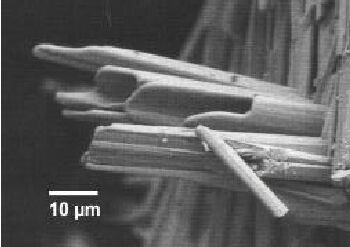 Das Bild zeigt eine rasterelektronenmikroskopische (REM) Aufnahme synthetischer Nanoröhren eines komplexen Sulfides, deren Wandstärken bei ca. 100 Nanometern mit Längen bis 100 Mikrometern liegen.