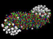 Quarks (rot/grün/blau) und Blei-Ionen (grau), zusammengehalten von nicht sichtbaren Gluonen