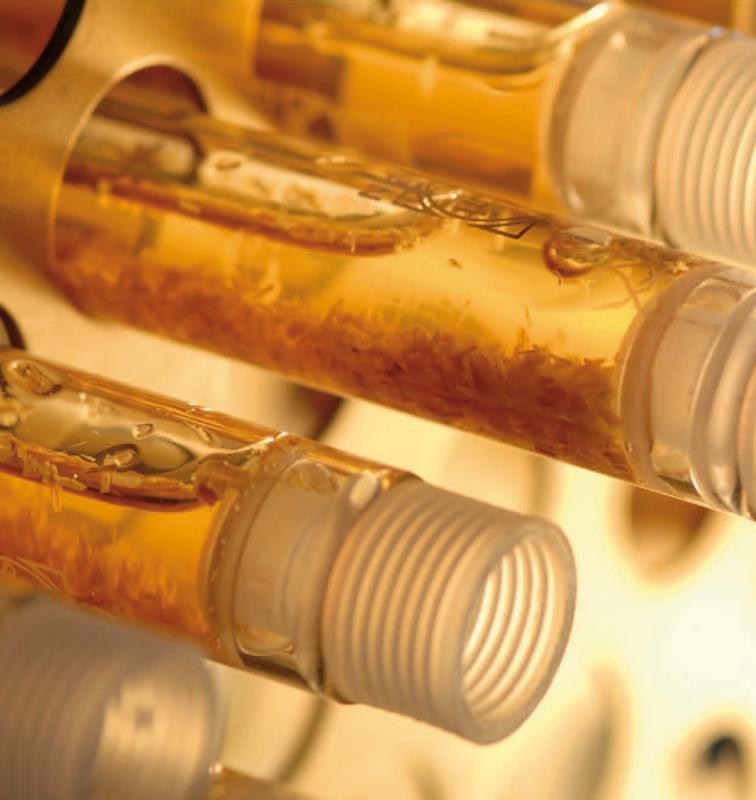 Stroh muss erst aufgeschlossen werden, bevor Enzyme es in Zuckereinheiten spalten können. 
