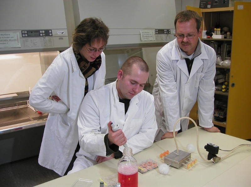 Stephanie Gokorsch, Christian Weber und Prof. Peter Czermak (von links) experimentieren mit tierischen Bandscheibenzellen.