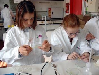 Schülerinnen einer 6. Jahrgangsstufe aus Burgkunstadt beim Chemie-Teil des Themas "LEGOlab Bayreuth": sie untersuchen gerade einen aufgelösten LEGO-Stein