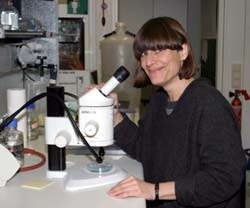 Dr. Magdalena Götz, Leiterin des neu gegründeten Instituts für Stammzellforschung (Foto: GSF)