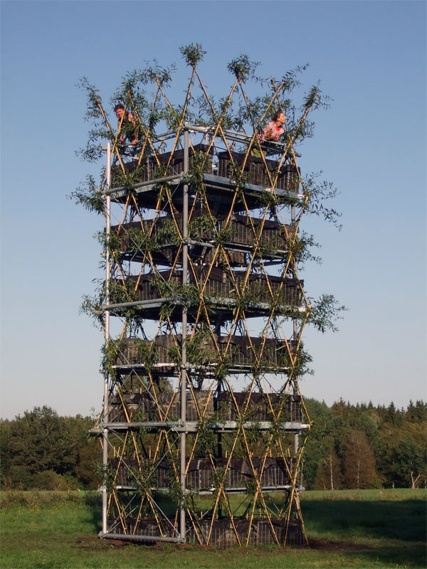 Sobald die lebende Struktur des Baubotanik-Turms stabil genug ist, um die drei einwachsenden Ebenen aus verzinktem Stahl zu tragen, wird das Gerüst entfernt. 